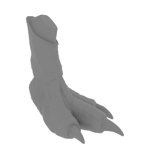 15_leg_R_3_FDM(repaired).stl