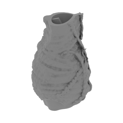 12_leg_2_R_FDM(repaired).stl