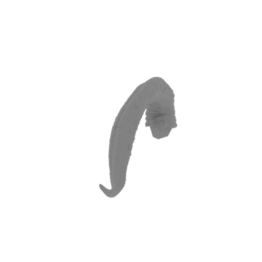 2_tongue_FDM(repaired).stl