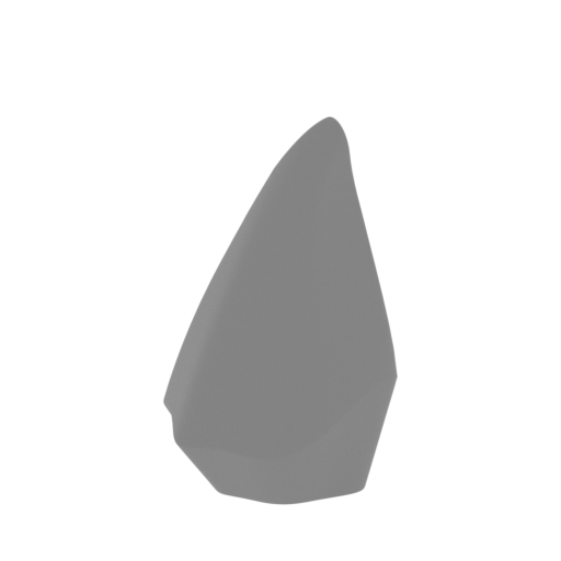 69_Misha_paw_rear_R_claw_5_FDM(repaired).stl