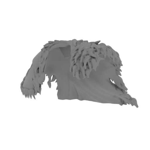 37_Rexxar_cloak_1_FDM(repaired).stl