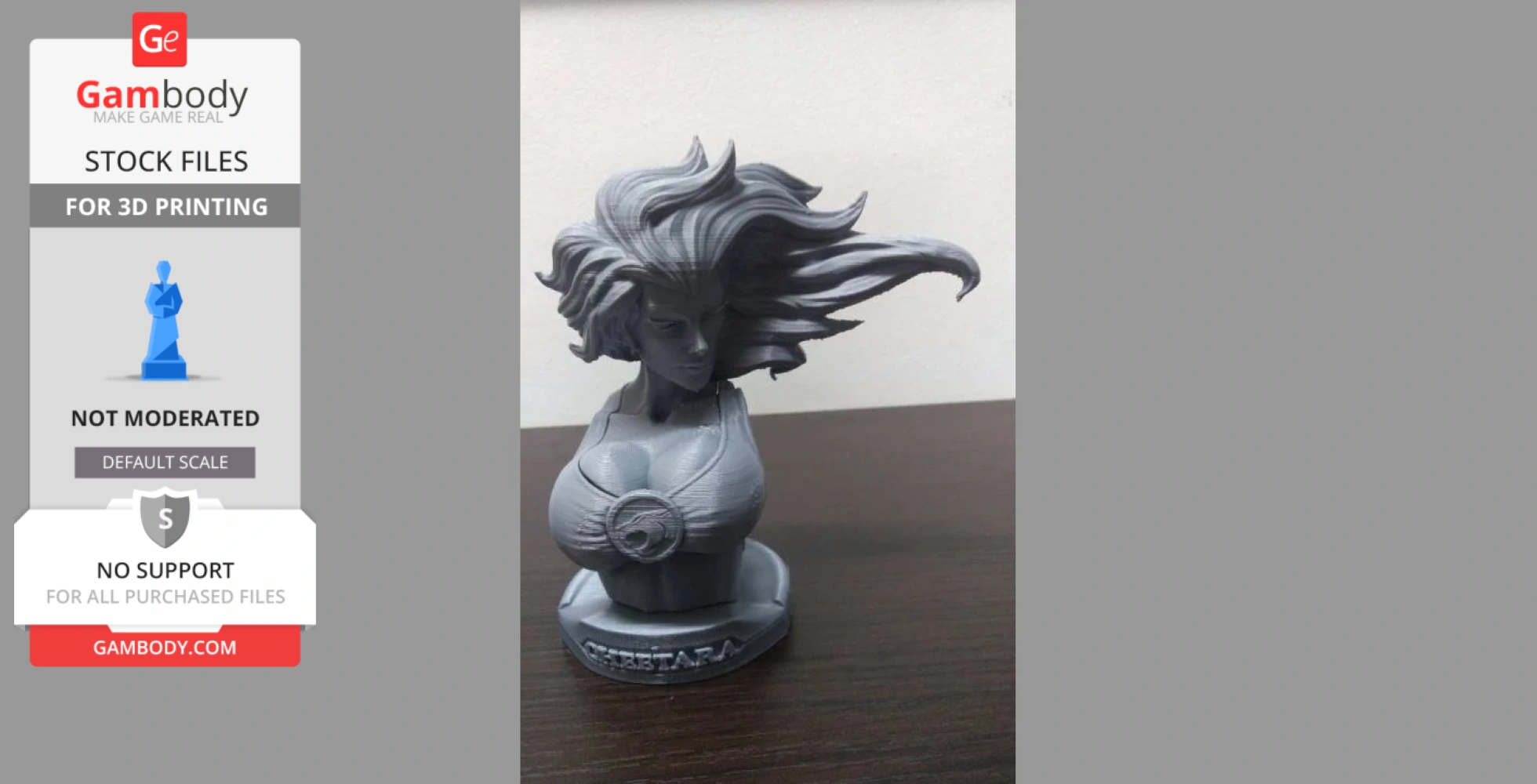 A 3D bust model of a character with flowing hair and a symbol on the chest, labeled 'CHEETARA' on the base.