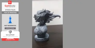 A 3D bust model of a character with flowing hair and a symbol on the chest, labeled 'CHEETARA' on the base.