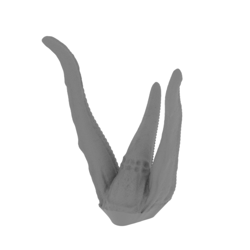 17_spike_1_FDM(repaired).stl