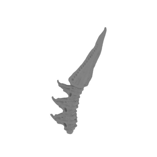 16_tail_4_FDM(repaired).stl