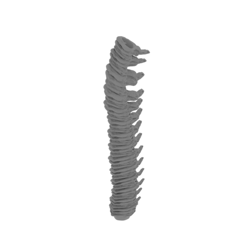 14_tail_2_FDM(repaired).stl