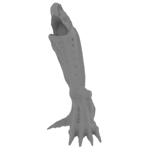 12_foot_L_FDM(repaired).stl