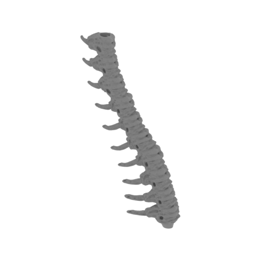 15_tail_3_FDM(repaired).stl
