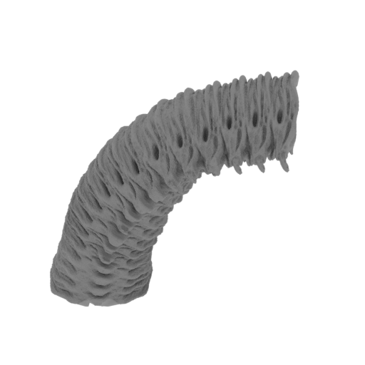 13_tail_1_FDM(repaired).stl