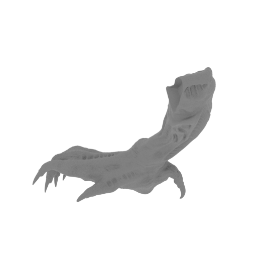 10_foot_R_FDM(repaired).stl