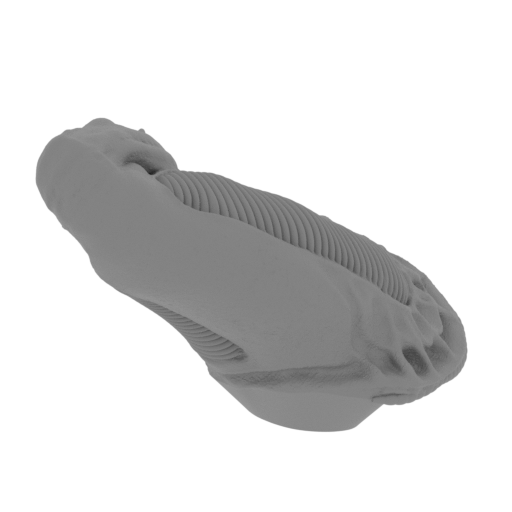 9_leg_R_FDM(repaired).stl