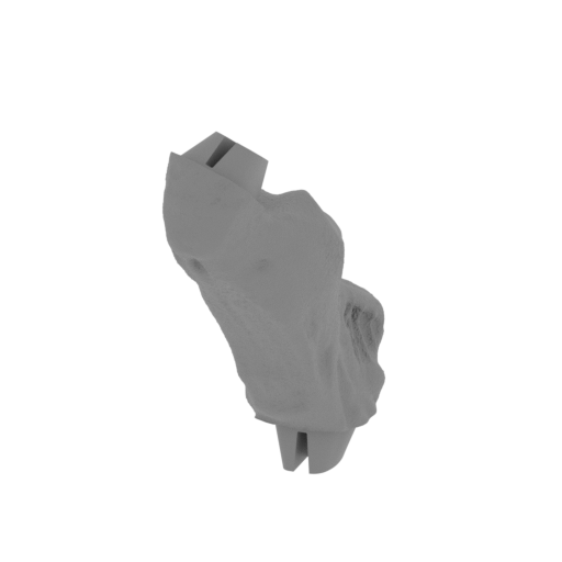 11_leg_R_2_FMD(repaired).stl