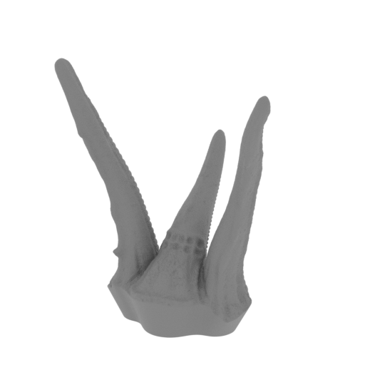 20_spike_1_FDM(repaired).stl