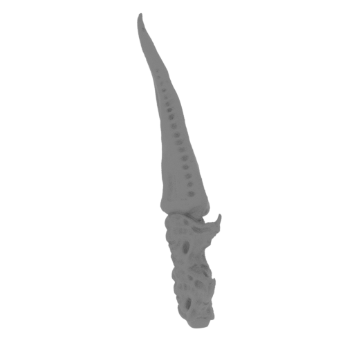 19_tail_4_FDM(repaired).stl