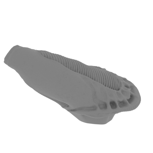 10_leg_R_1_FMD(repaired).stl