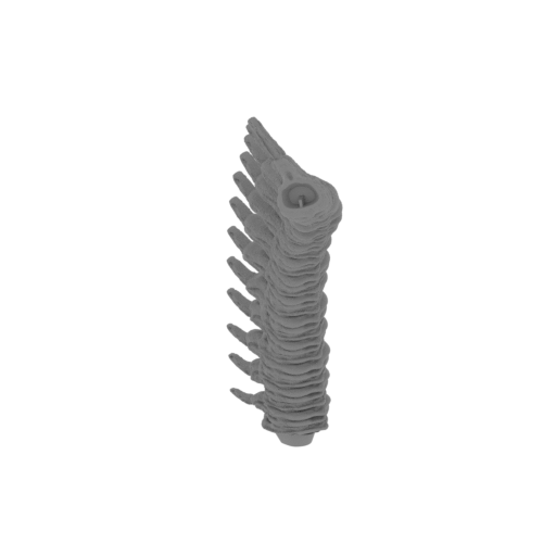 17_tail_2_FDM(repaired).stl
