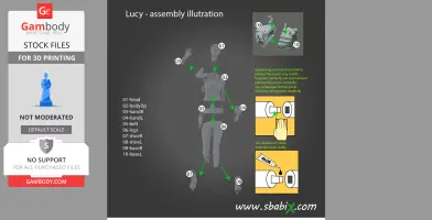 lucy-fallout-assembly-sheet.jpg
