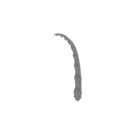 12_tail_3_FDM(repaired).stl