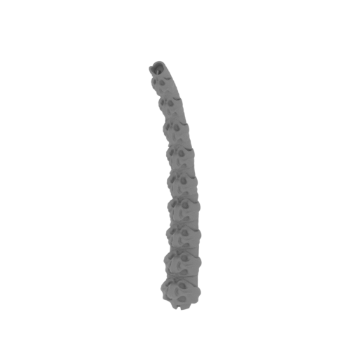 11_tail_2_FDM(repaired).stl