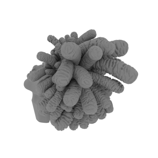 1_Hobie_Brown_head_FDM(repaired).stl