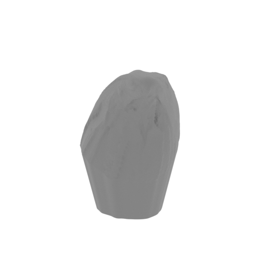 4_fang_R_top_FDM(repaired).stl