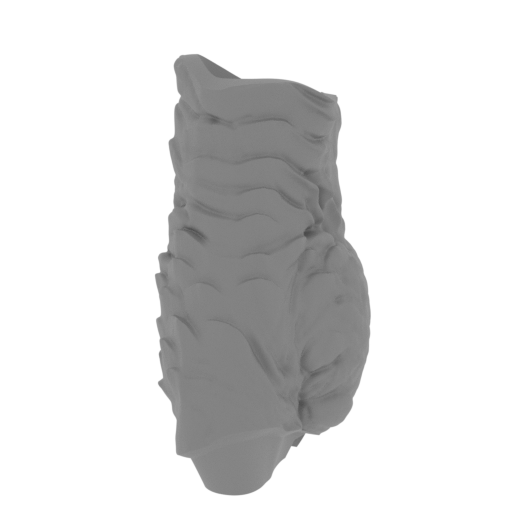 25_leg_L_2_FDM(repaired).stl