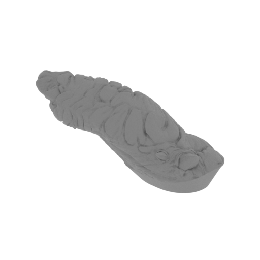 18_leg_R_1_FDM(repaired).stl