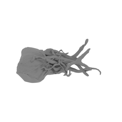 5_shoulder_L_FDM(repaired).stl