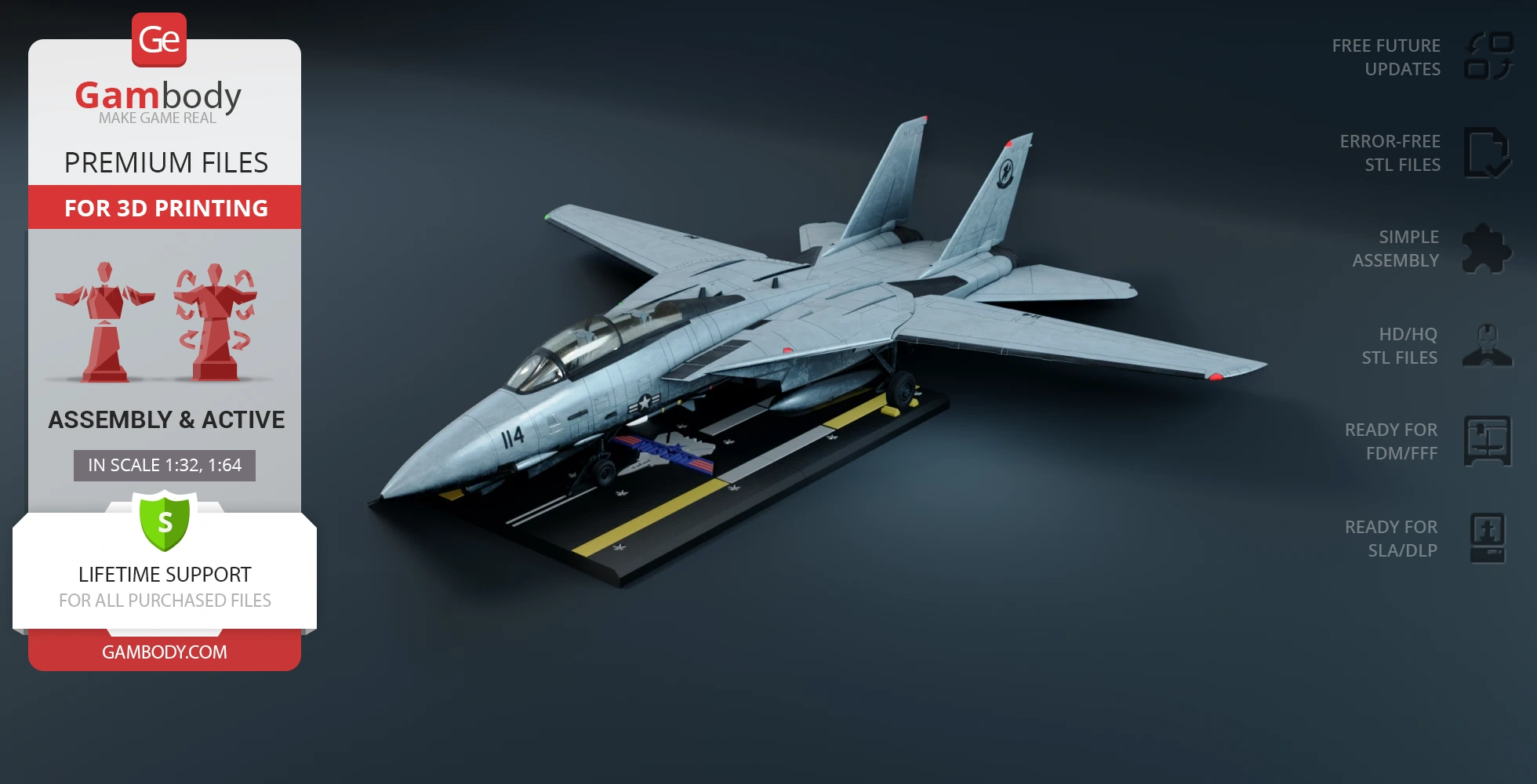 Buy F-14 Tomcat 3D Printing Model | Assembly + Active