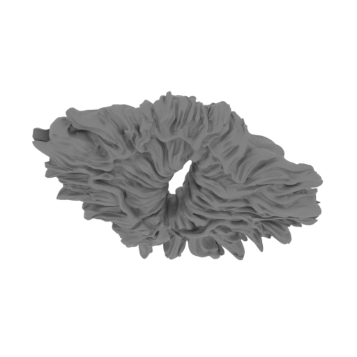 _81_eye_V1_FDM (repaired).stl