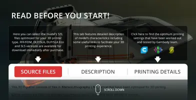 Danube-Class Runabout 3D model overview, with options for source files, description, and printing details.