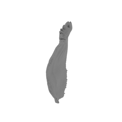 10_Nazgul_cloak_2_FDM(repaired).stl