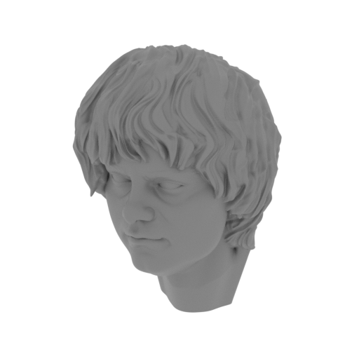 33_Sam_head_FDM(repaired).stl