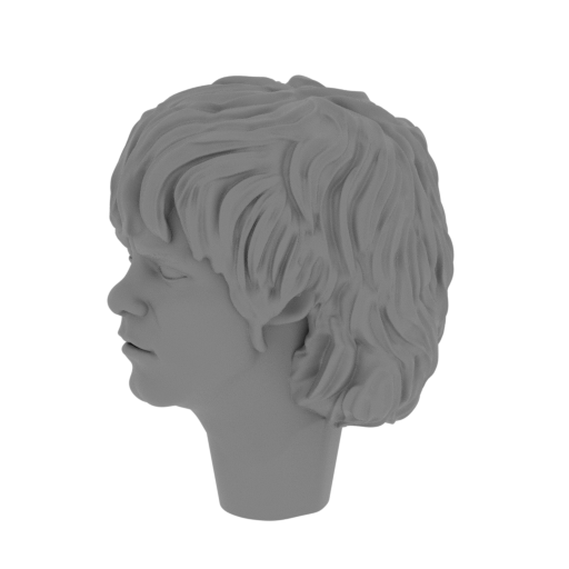 36_Merry_head_FDM(repaired).stl