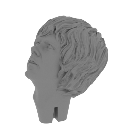 29_Pippin_head_FDM(repaired).stl