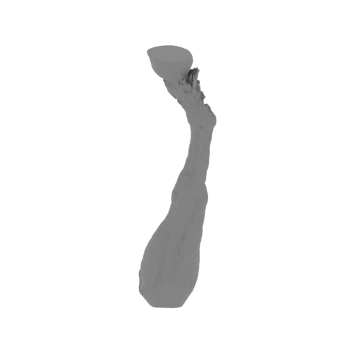 15_horse_leg_R_front_FDM(repaired).stl