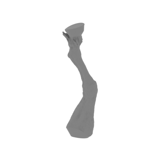 16_horse_leg_L_front_FDM(repaired).stl