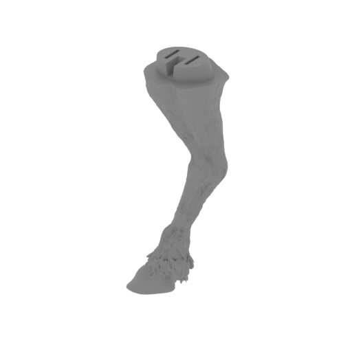 17_horse_leg_R_rear_FDM(repaired).stl