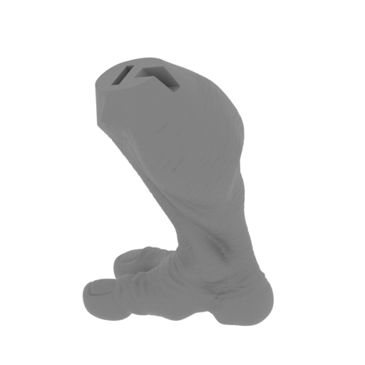 10_foot_R_FDM(repaired).stl