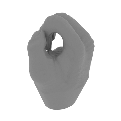 4_hand_R_FDM(repaired).stl