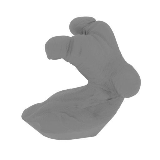 11_foot_L_FDM(repaired).stl