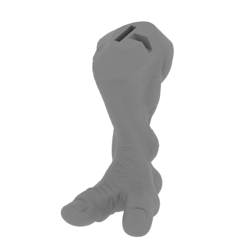 8_foot_R_FDM(repaired).stl