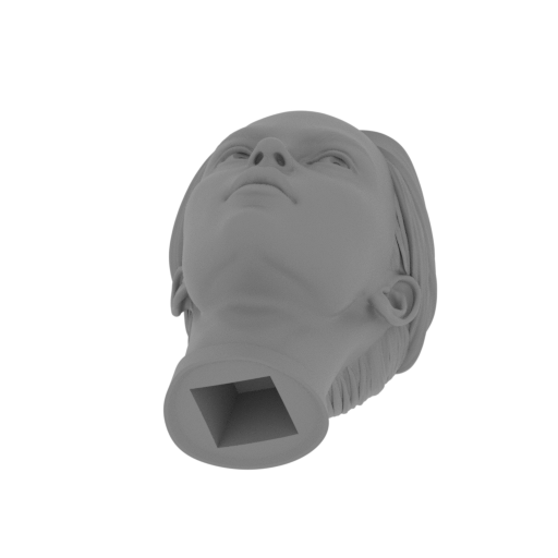 Lara_Head.stl