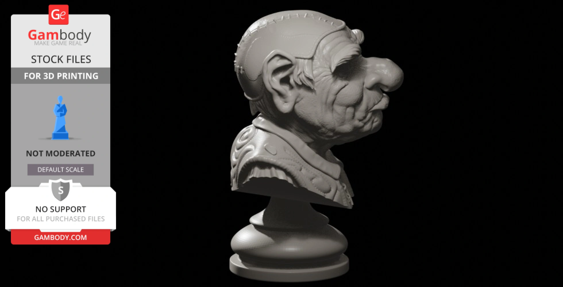A detailed bust of a character with a long nose, textured hair, and ornate clothing, designed for 3D printing.