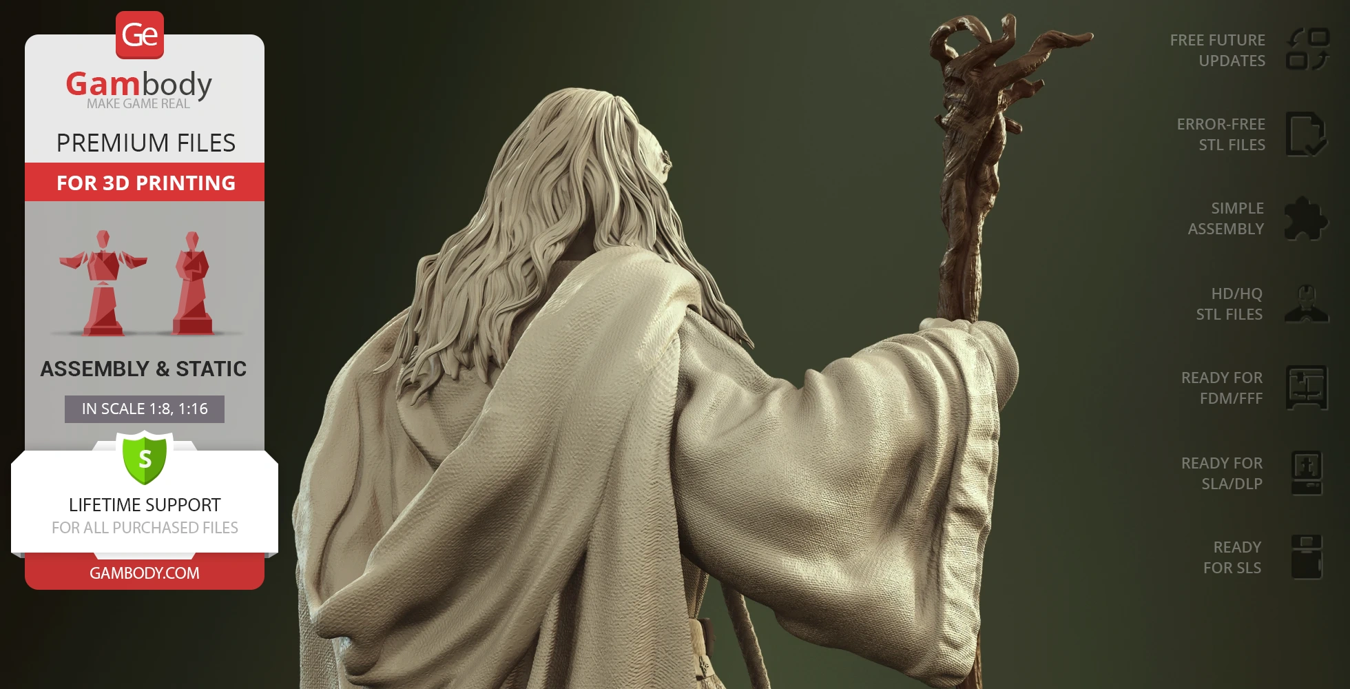 3D model of wizard in robe holding a staff, viewed from behind.