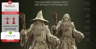 3D model files of a wizard with and without a hat, available for printing in detail.