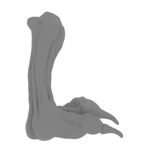 30_the_Imp_1_foot_R_FDM(repaired).stl