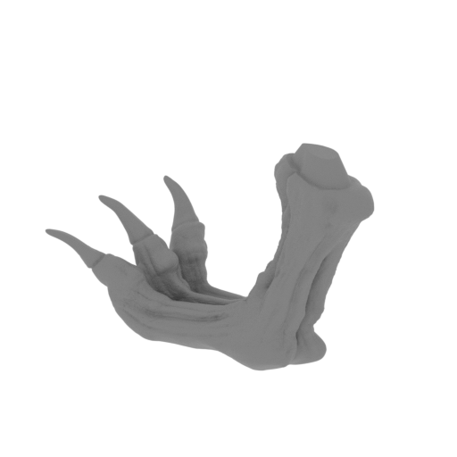 46_the_Imp_3_foot_L_FDM(repaired).stl