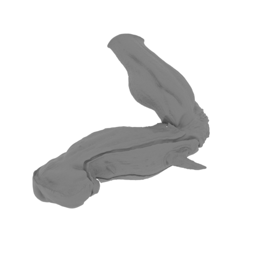 45_the_Imp_3_leg_L_FDM(repaired).stl