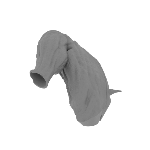 38_the_Imp_2_leg_L_FDM(repaired).stl